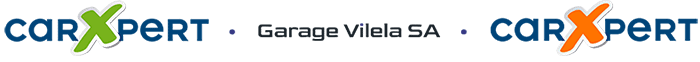 Logo Garage Vilela Sa Genève